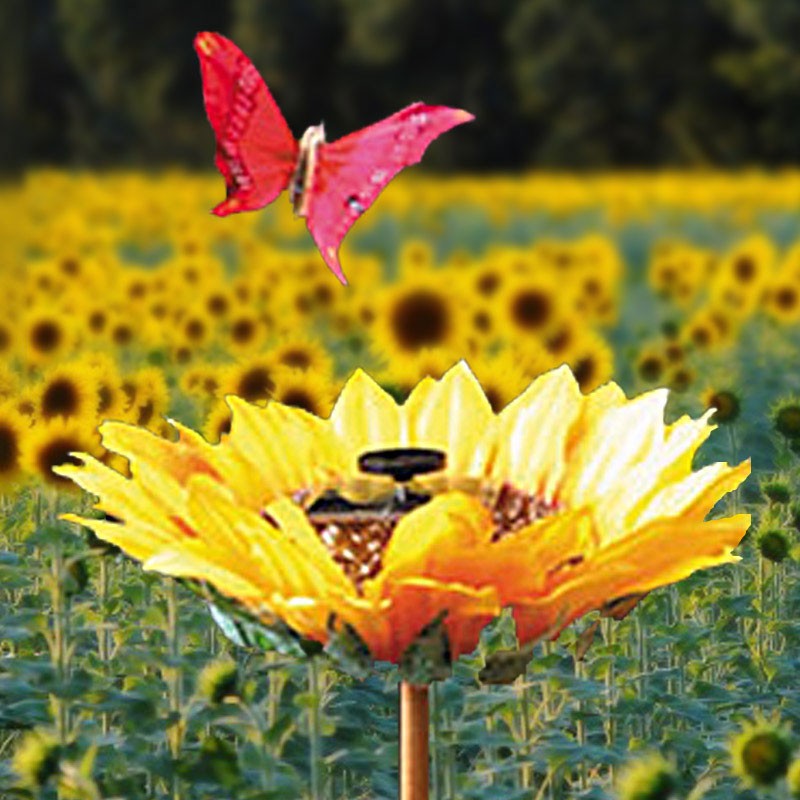 Schmetterling auf Sonnenblume Solar - PREISPARADIES
